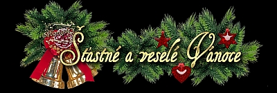 Přeji všem čtenářům těchto stránek krásné Vánoce naplněné radostí, láskou a štěstím...